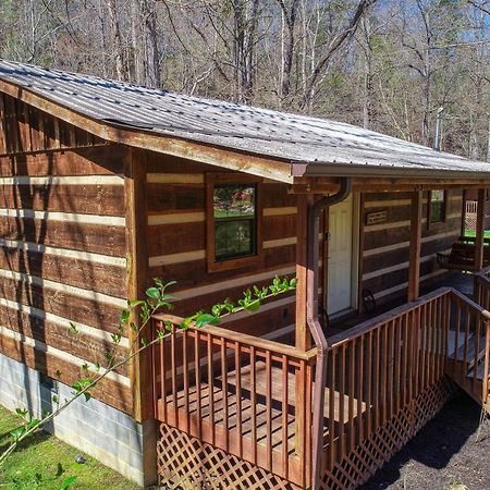 Creekside Memories Cabin Cosby Extérieur photo
